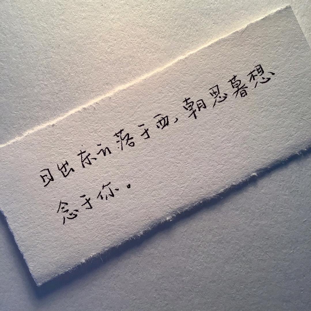深夜独自舔伤