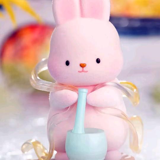 @靖哥哥💕