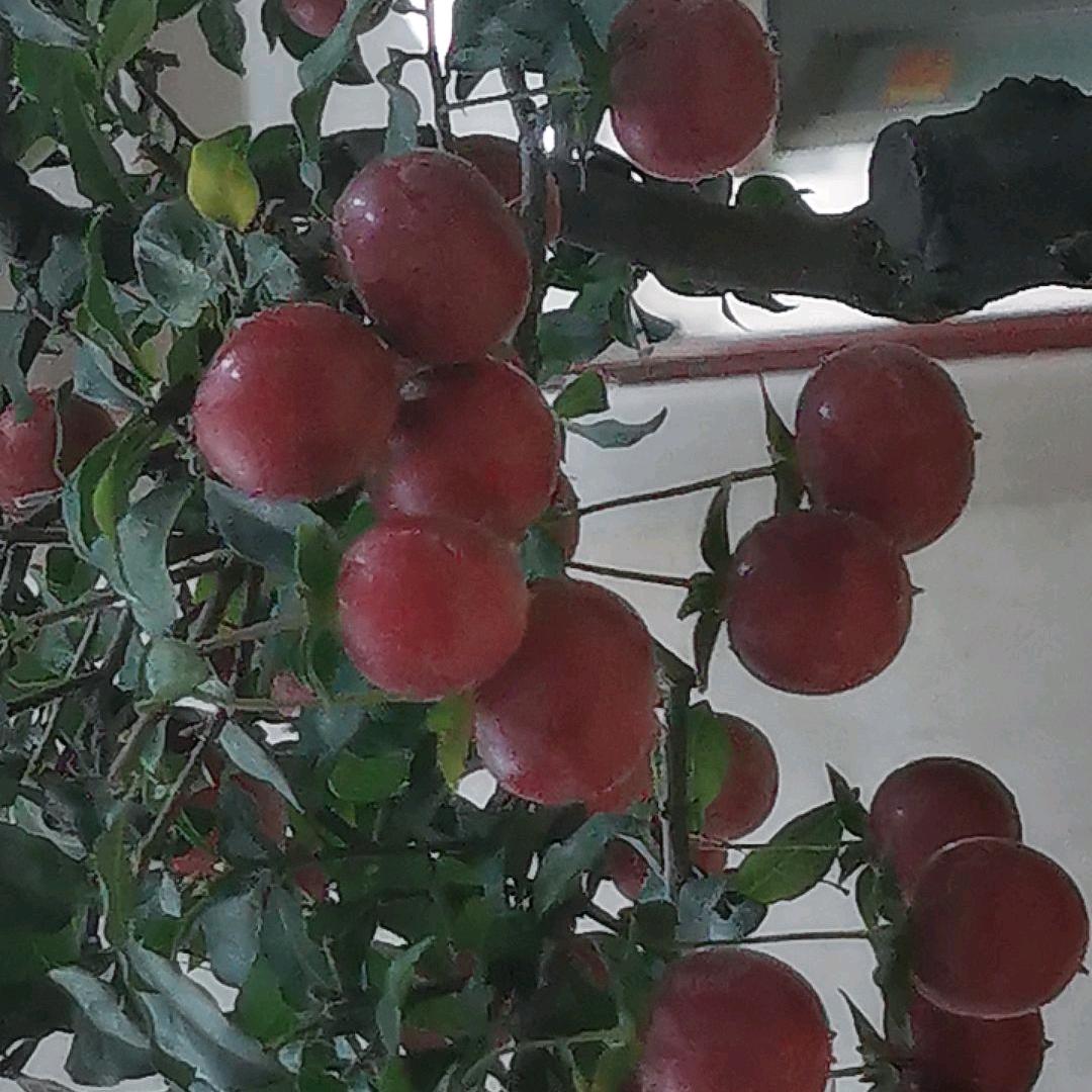 水生水起