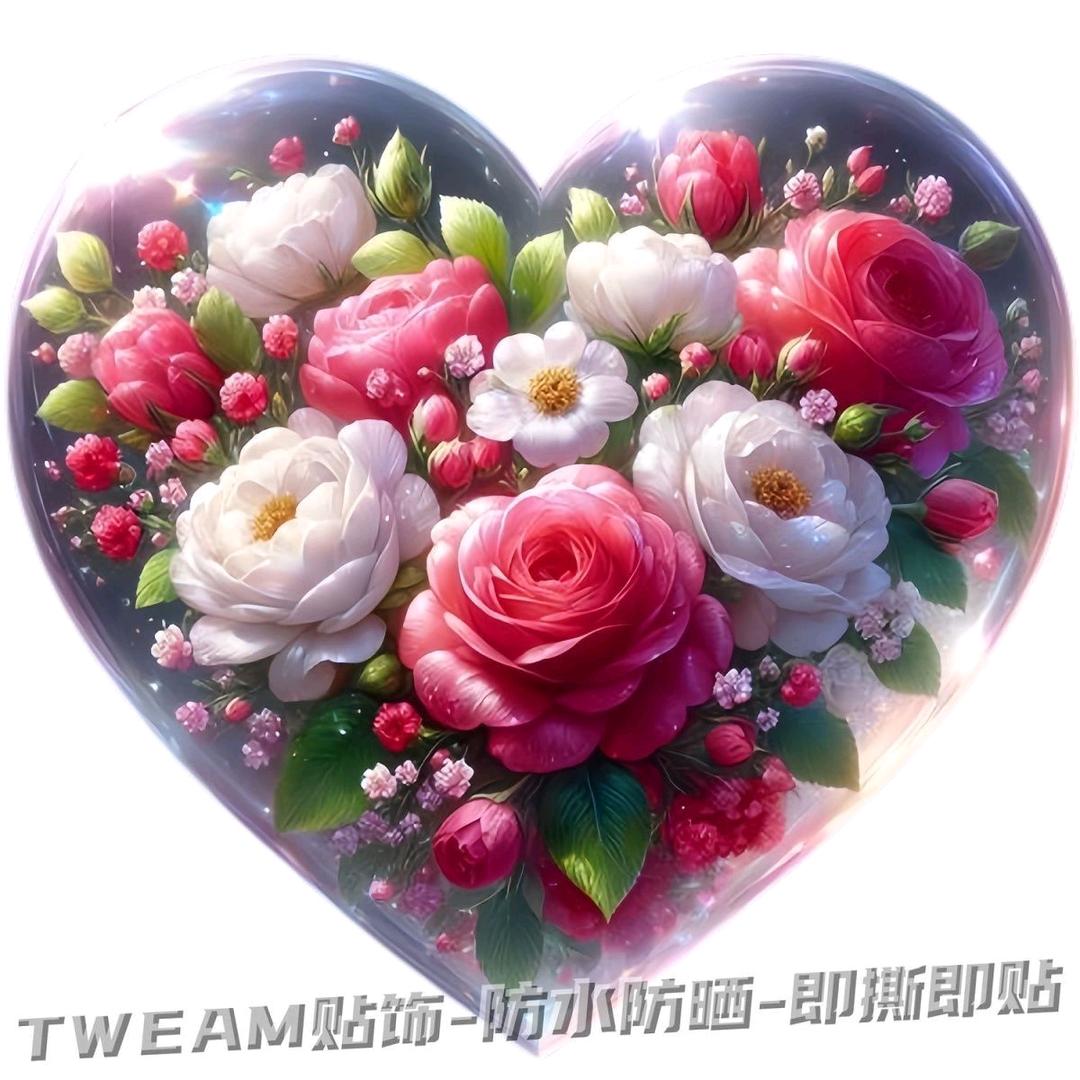 杨金喜🌺🌺🌺