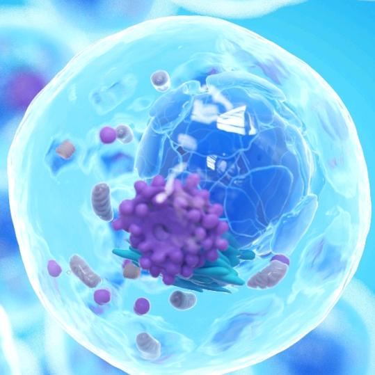 浙医干细胞生物研究中心