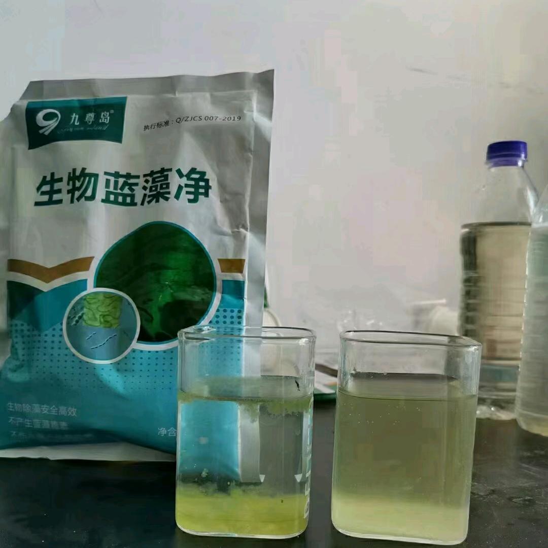 九尊岛浮萍净蓝藻净青苔净