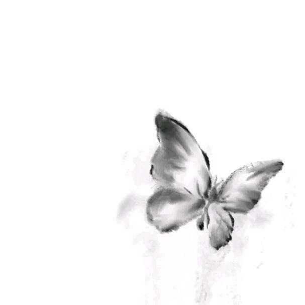 𝓚𝓲𝓼𝓶𝓮𝓽