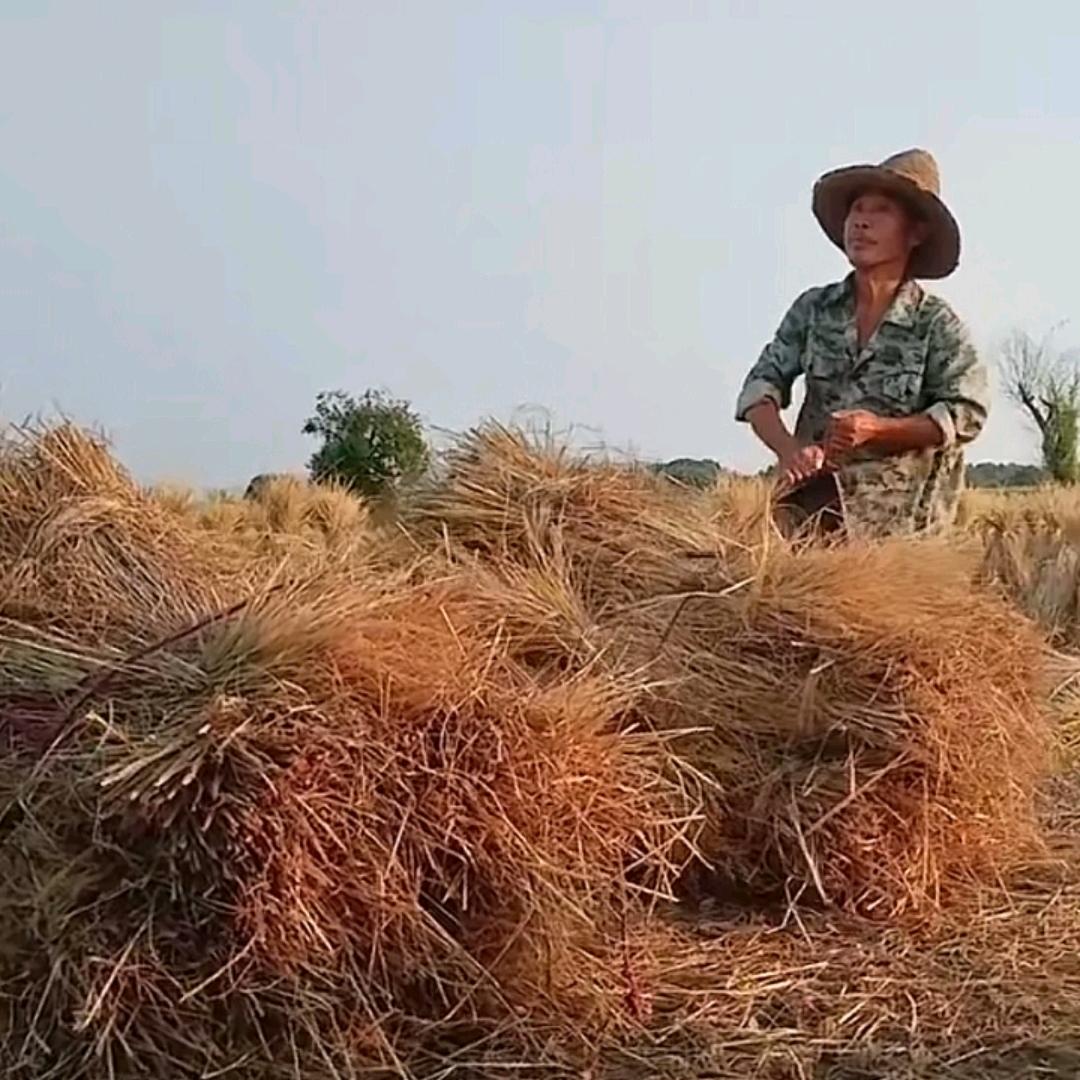 刘二叔