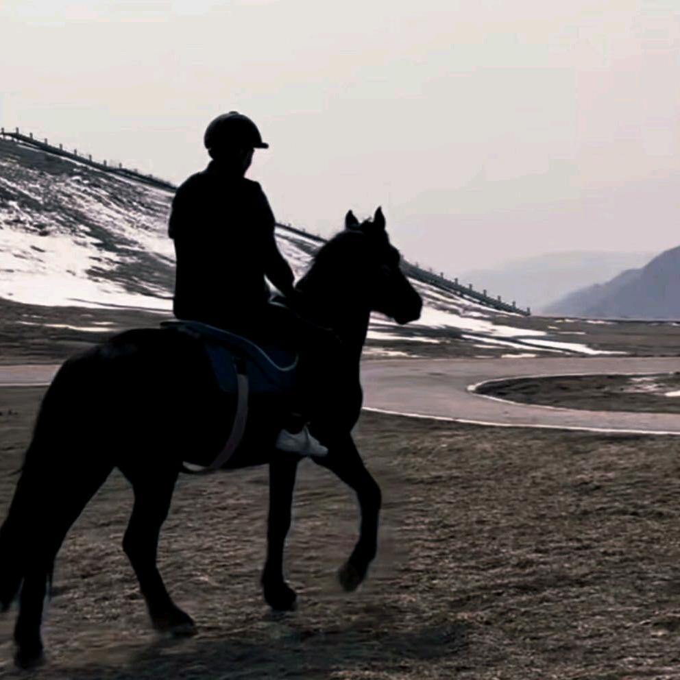 青风(副业指导)