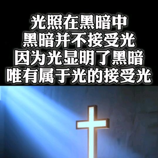放飞的心