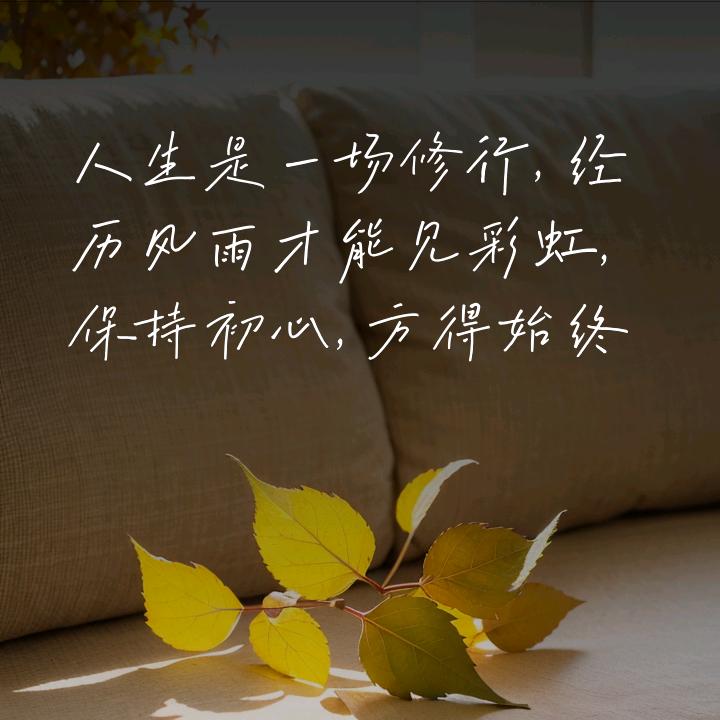 ❄️余生🌹✨🌺