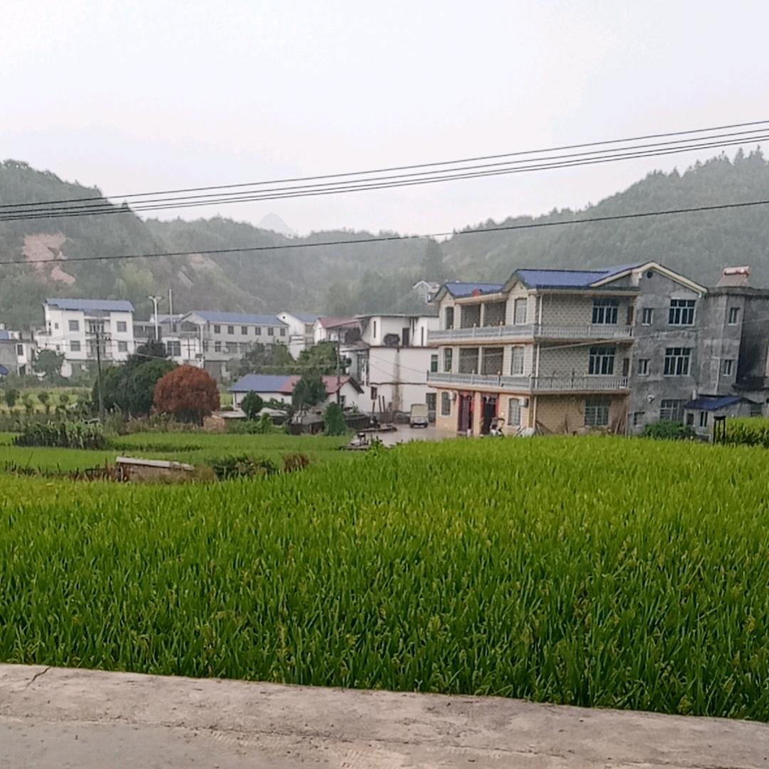 工厂洗发水9号仓
