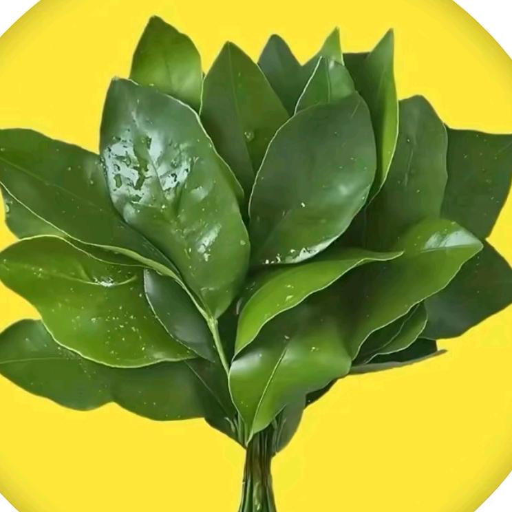 🚬春ᝰꫛ天ಇ᭄