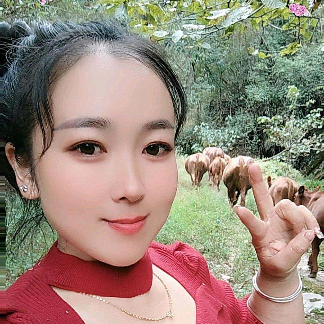 养牛四妹