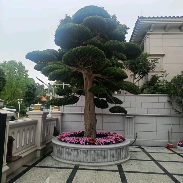 哈明（晚上8点10分开始直播）
