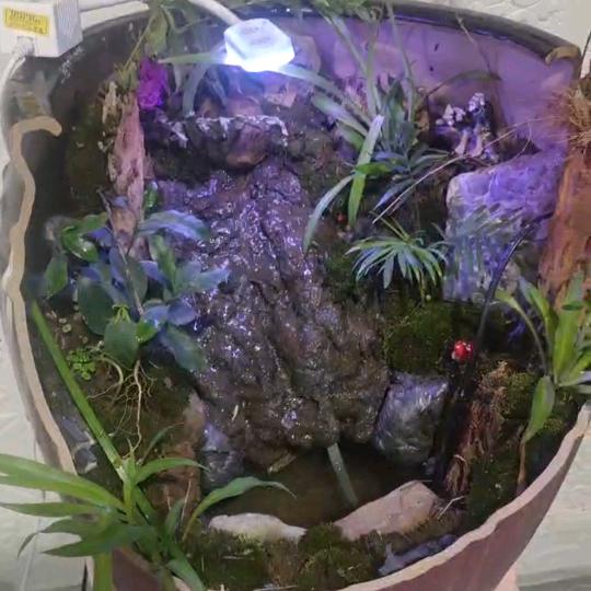 - 爱神漏网之鱼🐟🐟🐟🐟