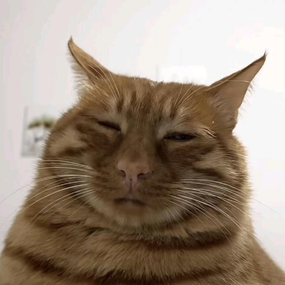 重生之九十二岁变态老蟑螂调戏性感人妻