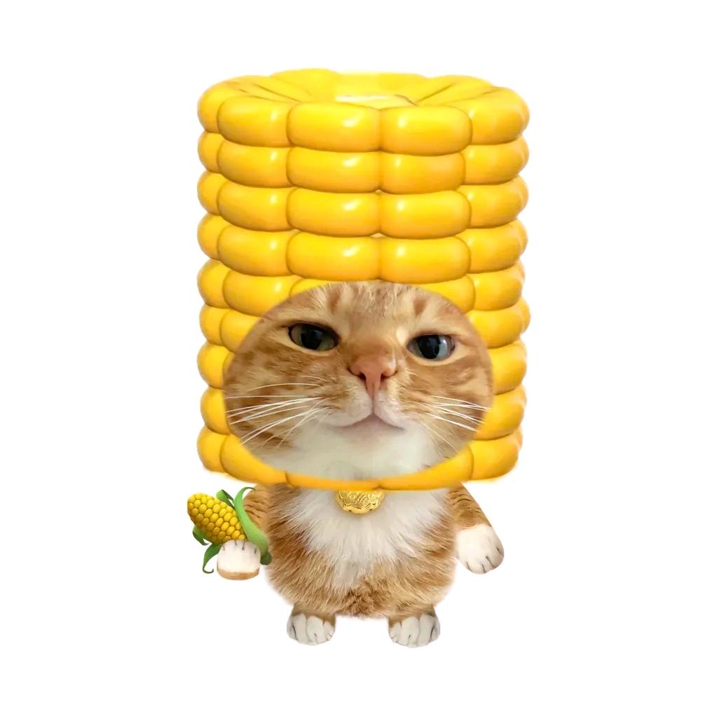 AAA萬事胜意小福星阿荔！