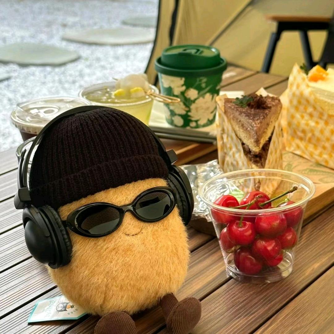 爱在海洋上学习的土豆