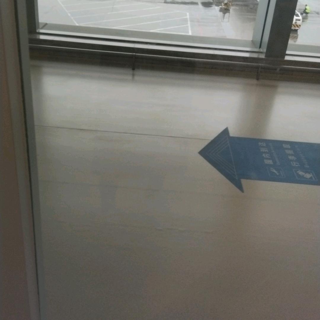 我若成魔又奈我何