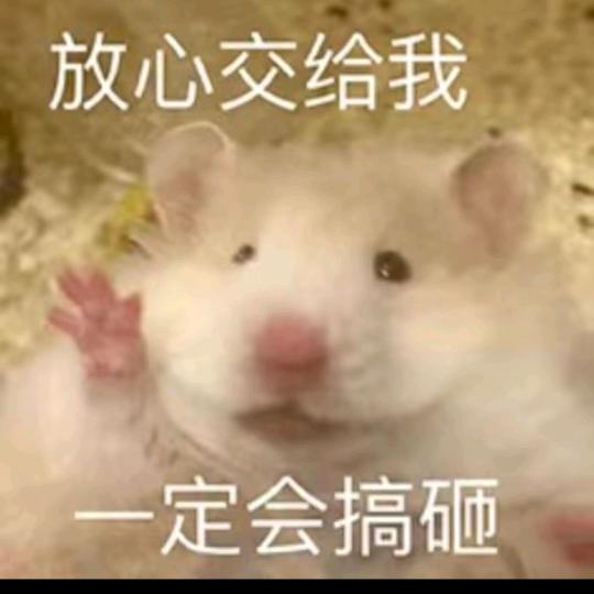 花海中重逢