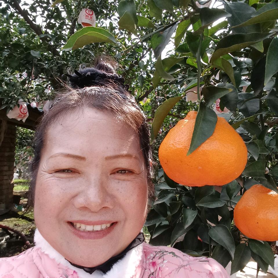 李平姐12月4号下午1，20开播