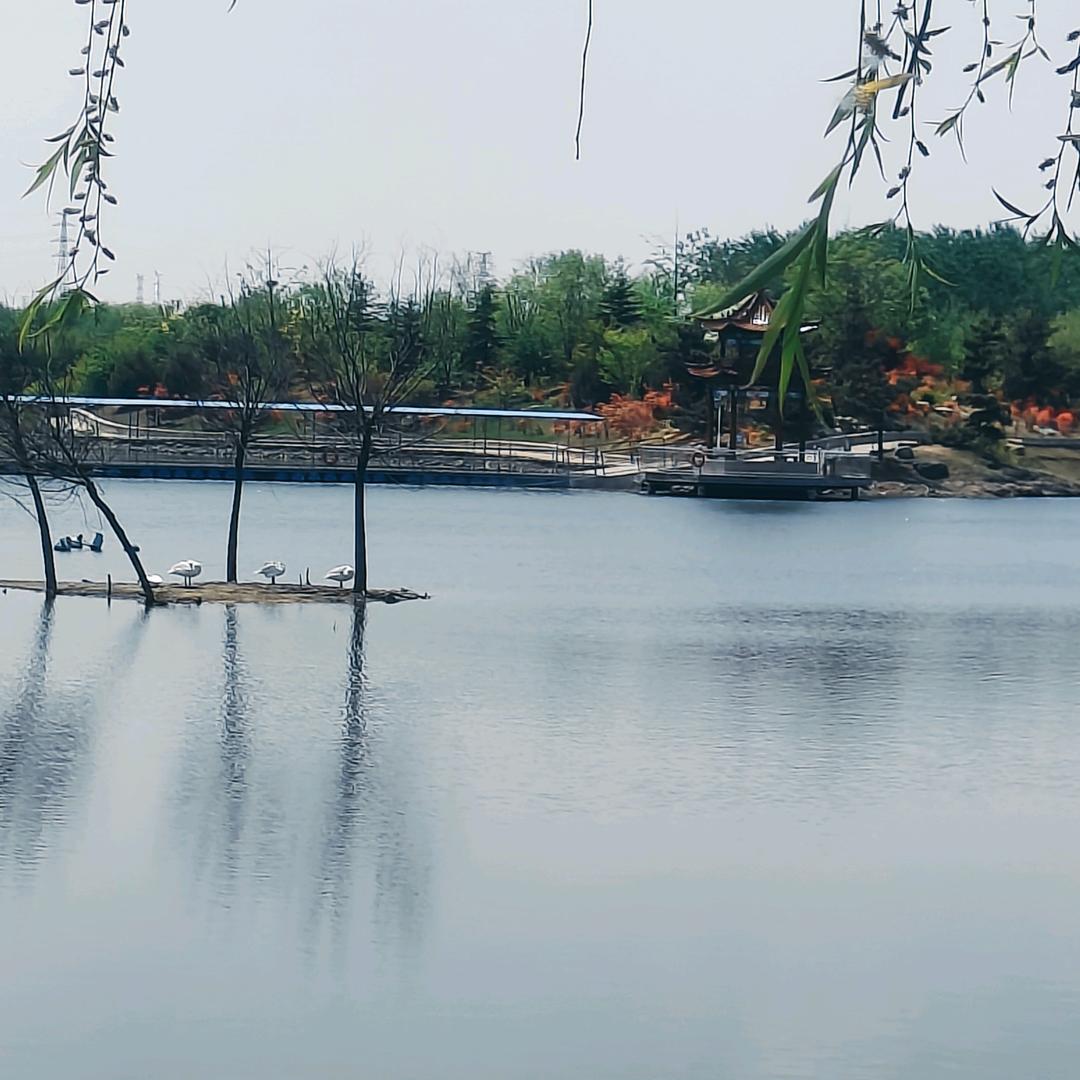 闲情雅致
