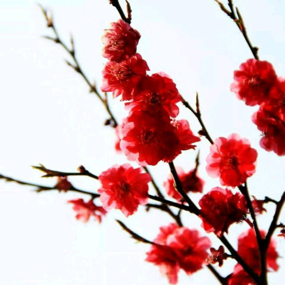 滚滚红尘