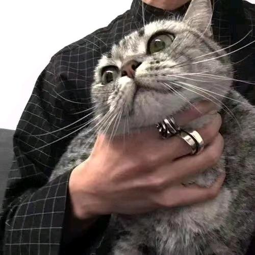 天天