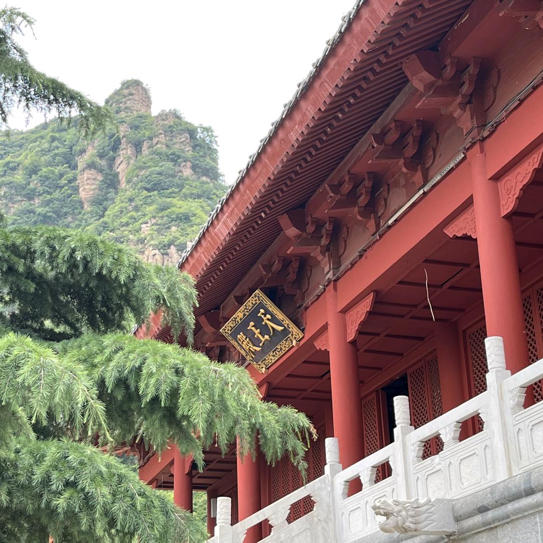 高旭東
