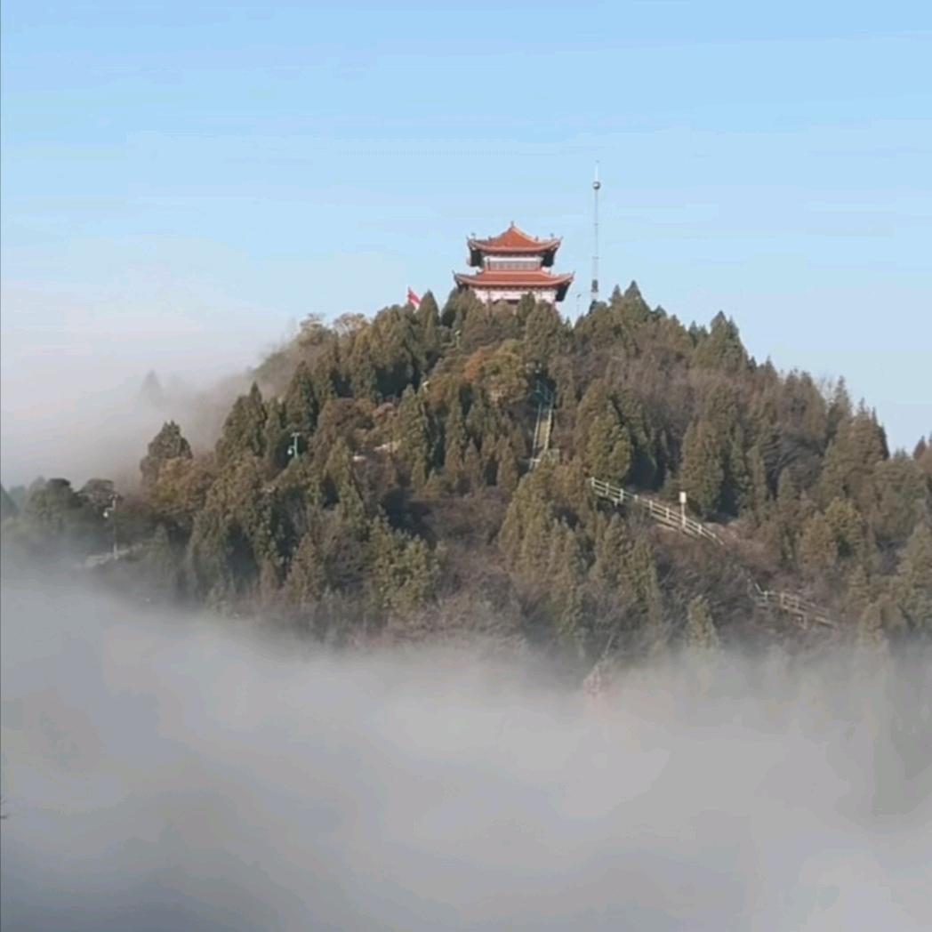 一个人看风景