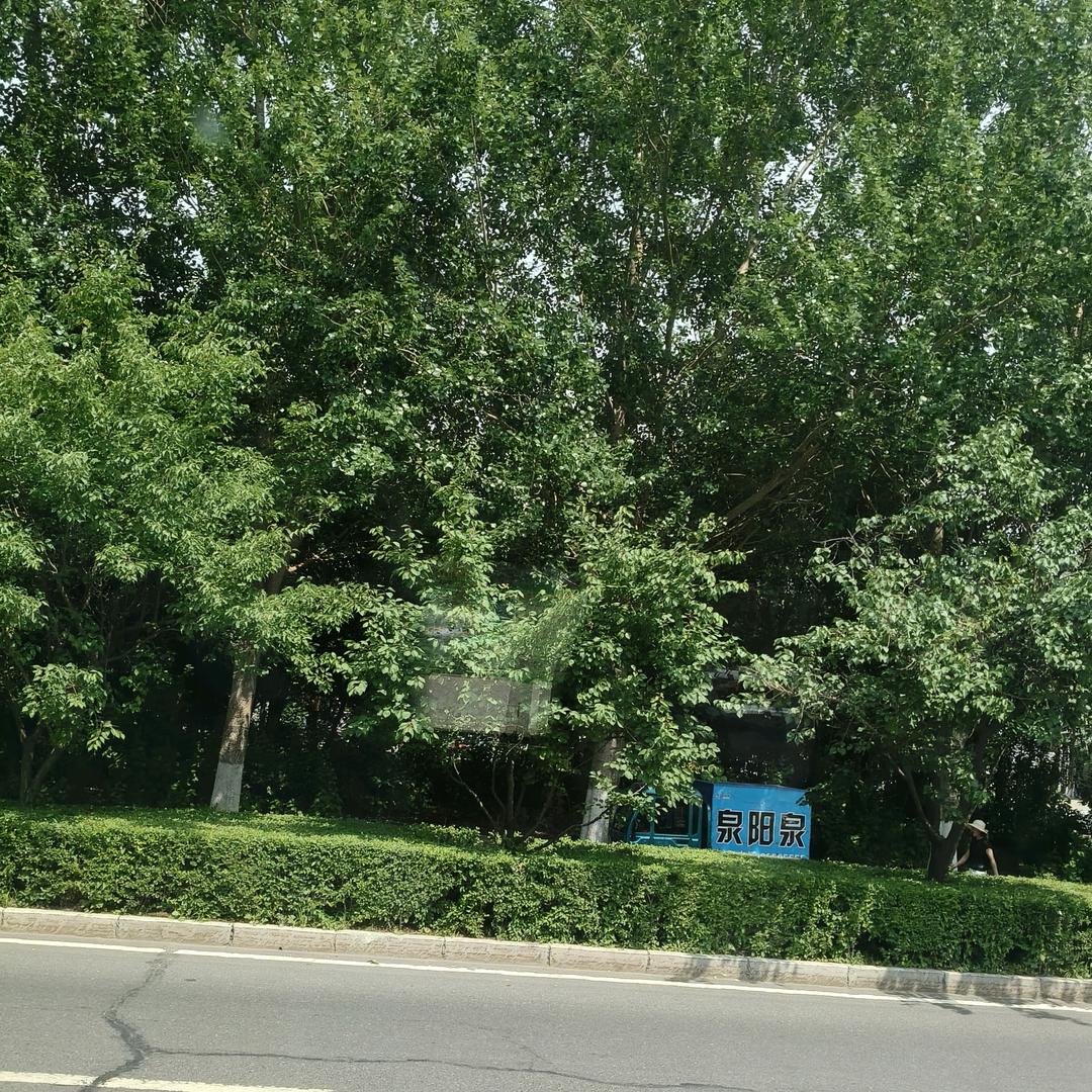 《谁懂我的心》？