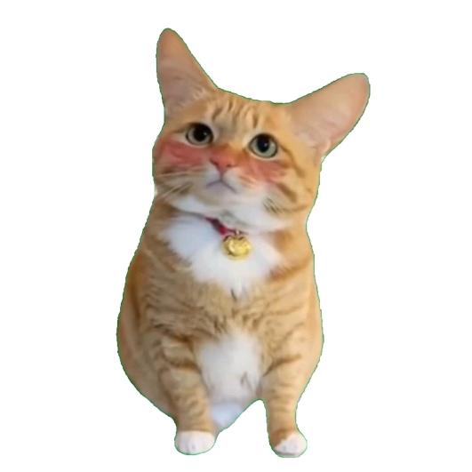 一只雕～