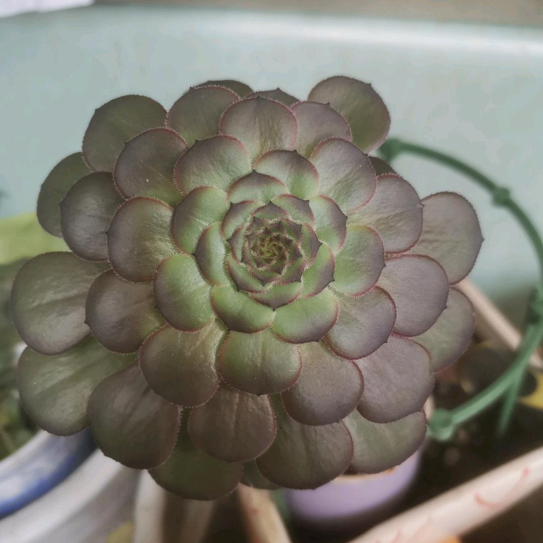 《常大哥😜》