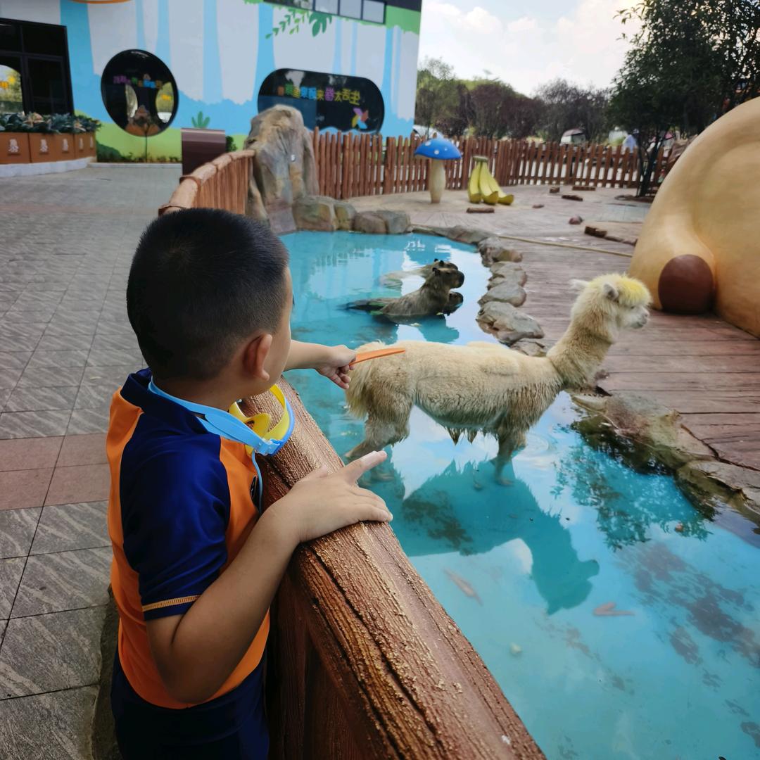 旺仔带你游江西