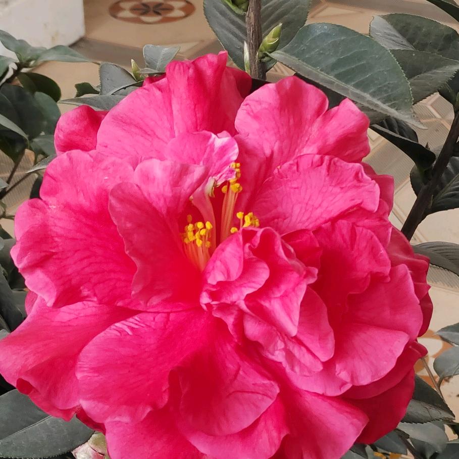 ❤️有你🌷相伴🌸