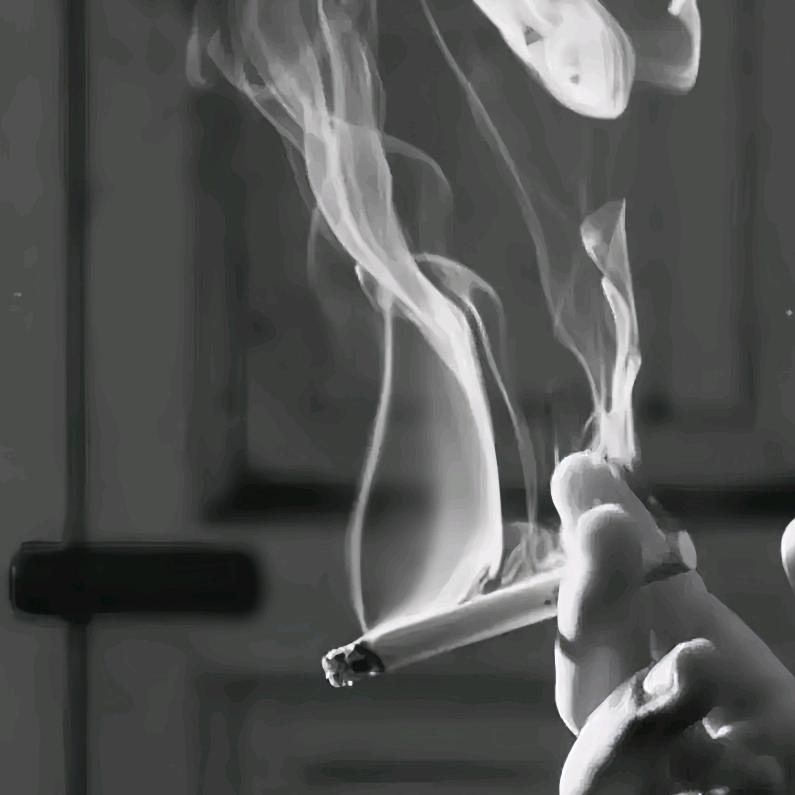 豆芽儿
