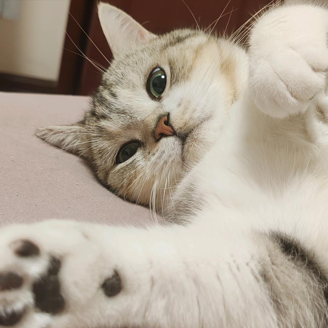 心意
