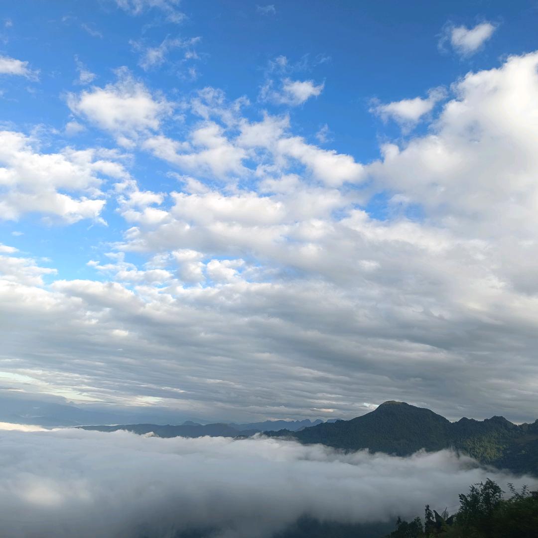 往后余生我陪你