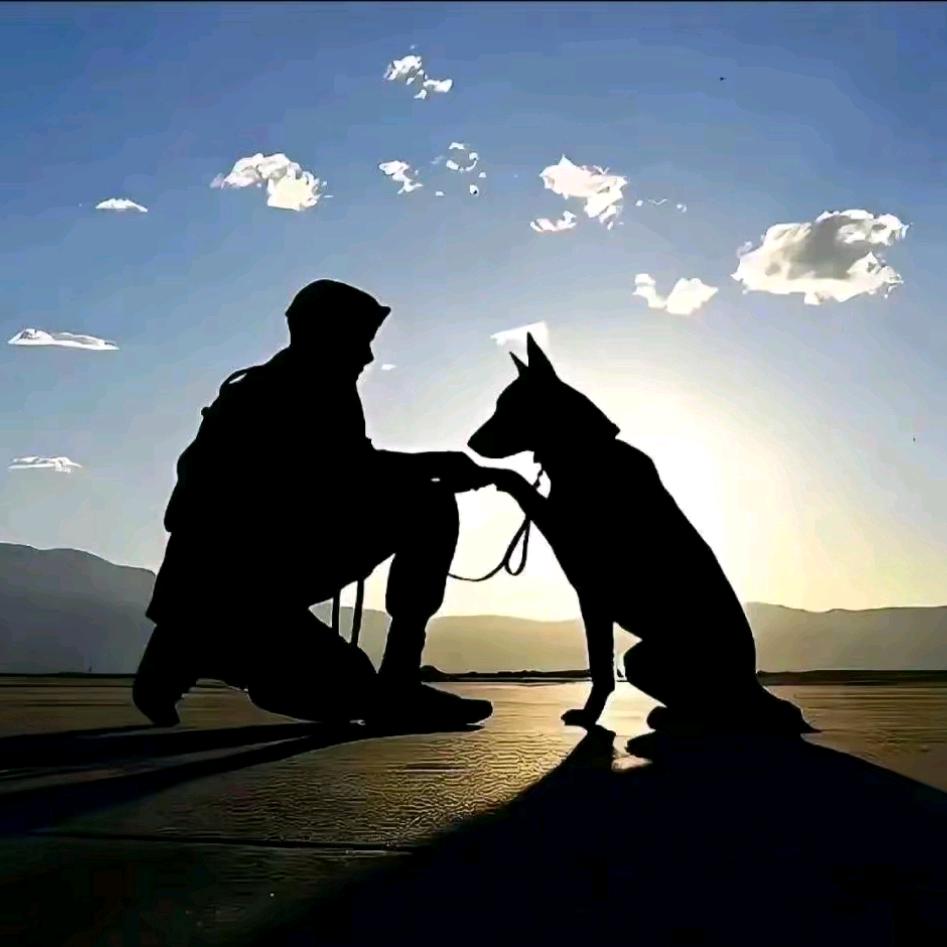 柠檬不及我心酸