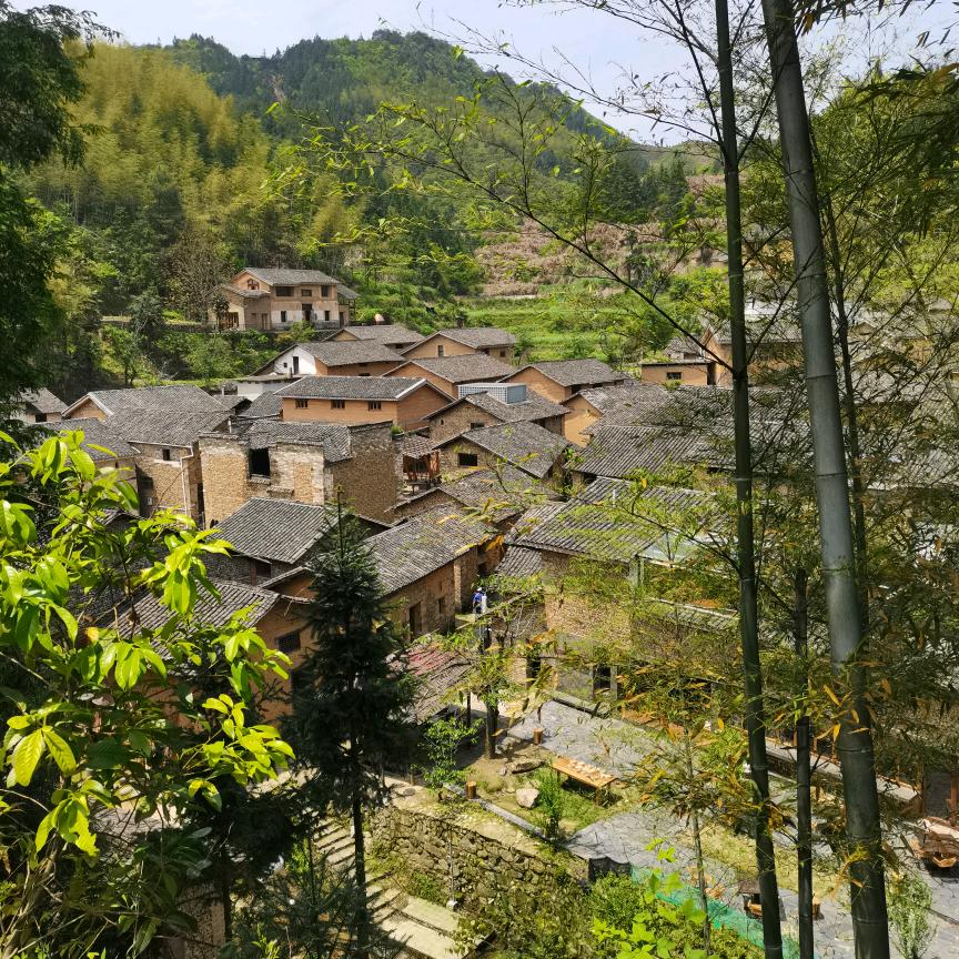 红尘情哥