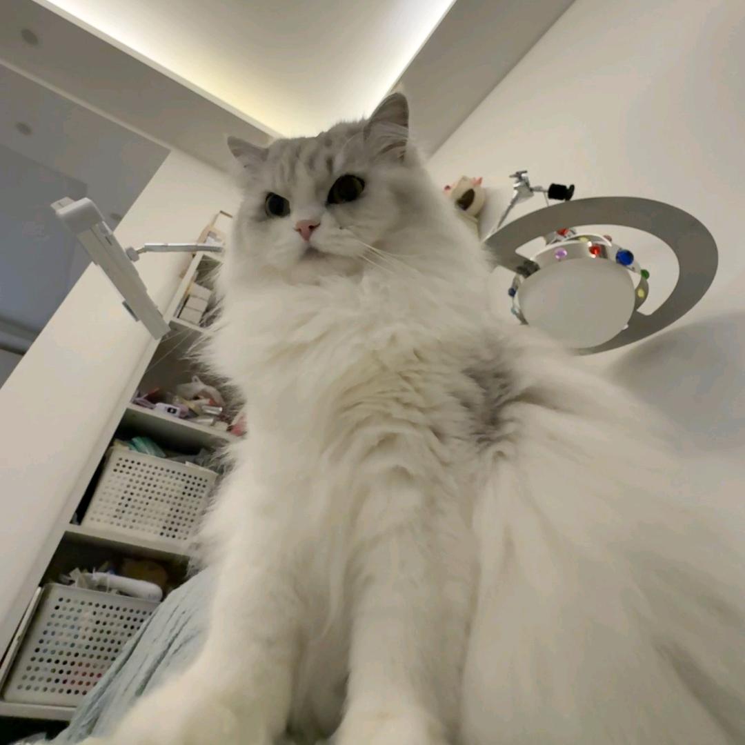 奕琦淋雨^（见过41版）