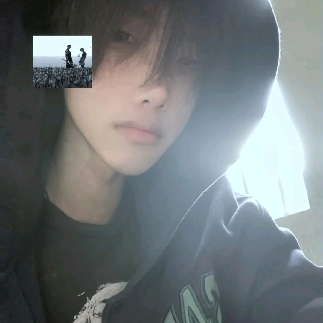 王者荣耀脆脆鲨（国服打野）