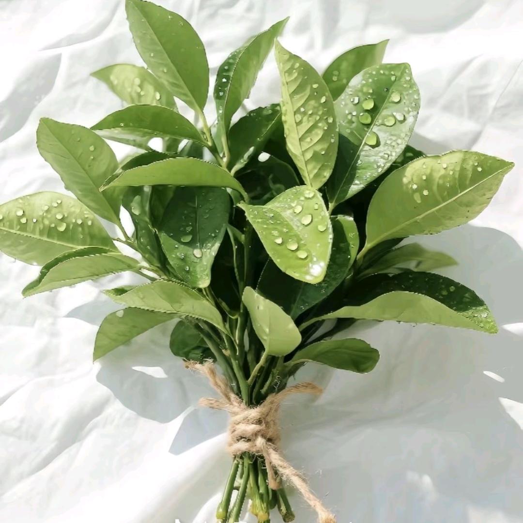 《破店》潮牌集合