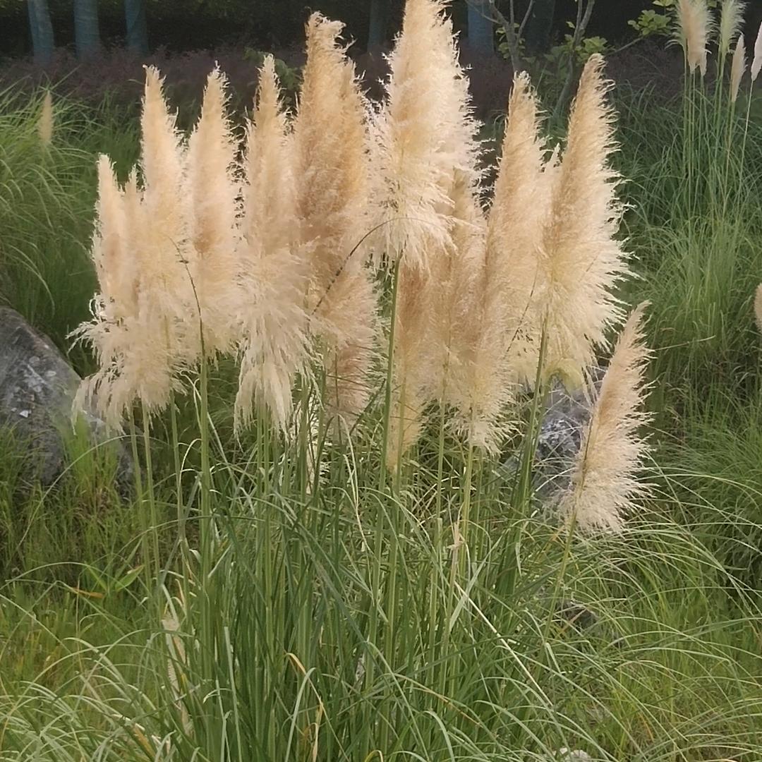 ૮ต笑忘꒰ঌ໒红尘