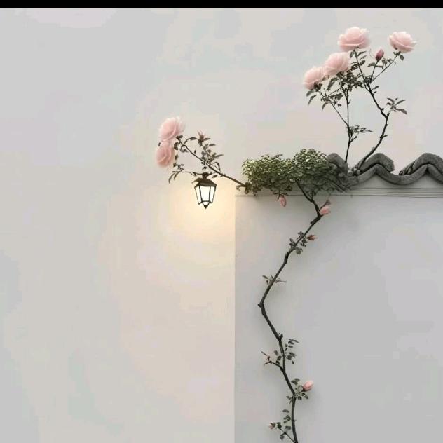 简·心