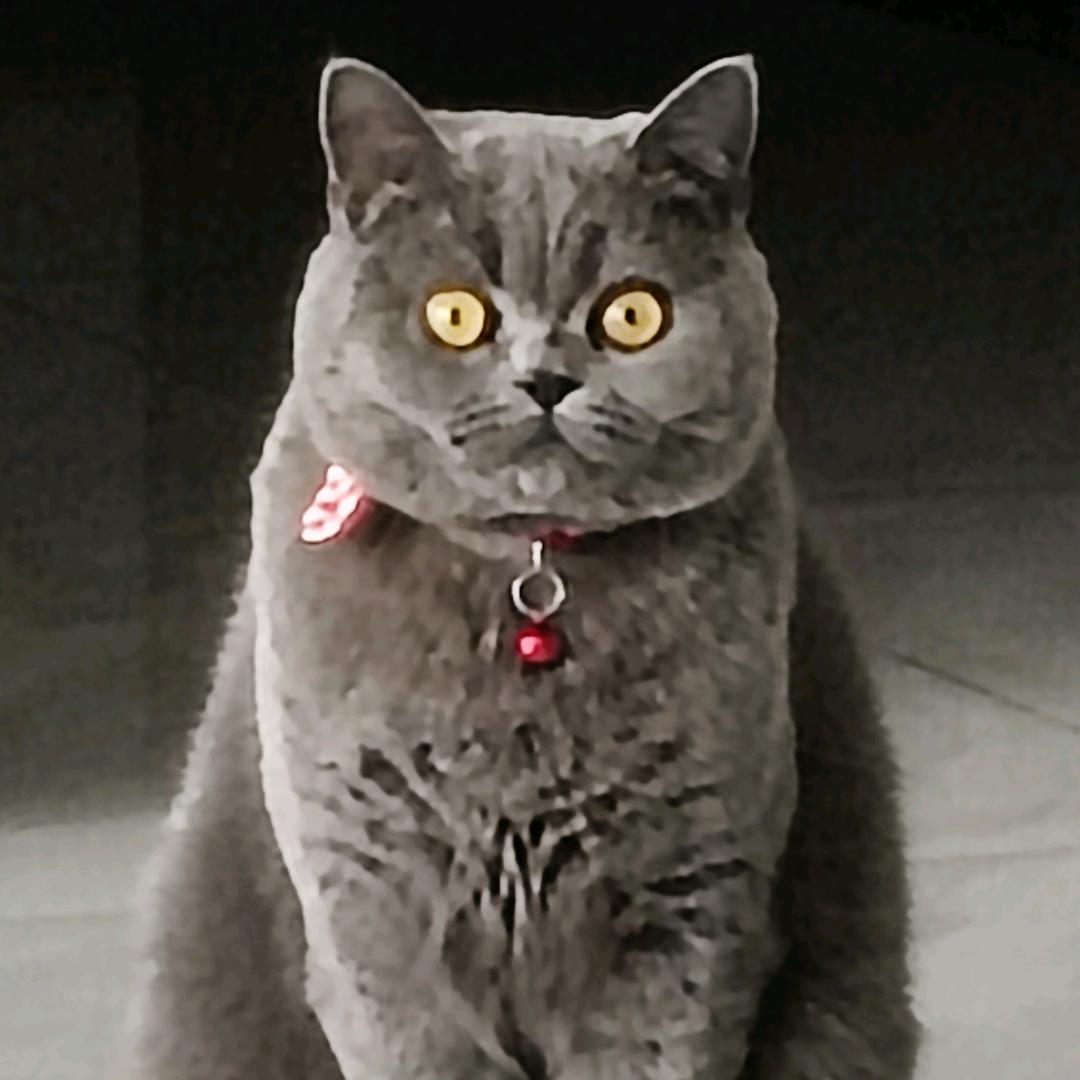 大大