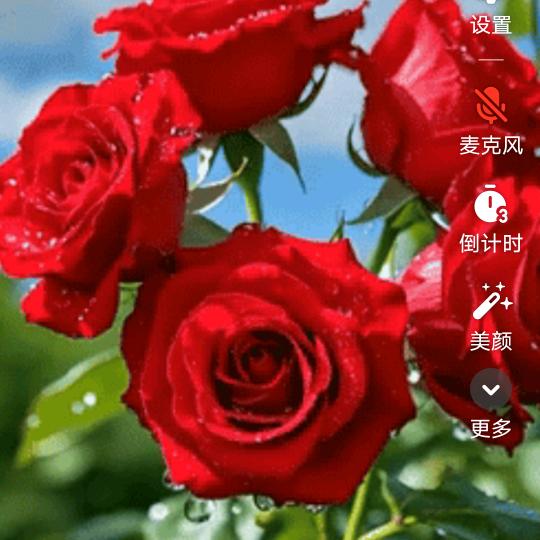 好运自然来