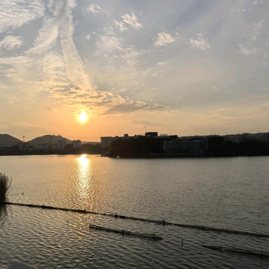 最爱吃面条