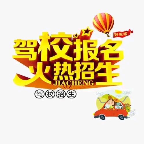 维西C1C2教练