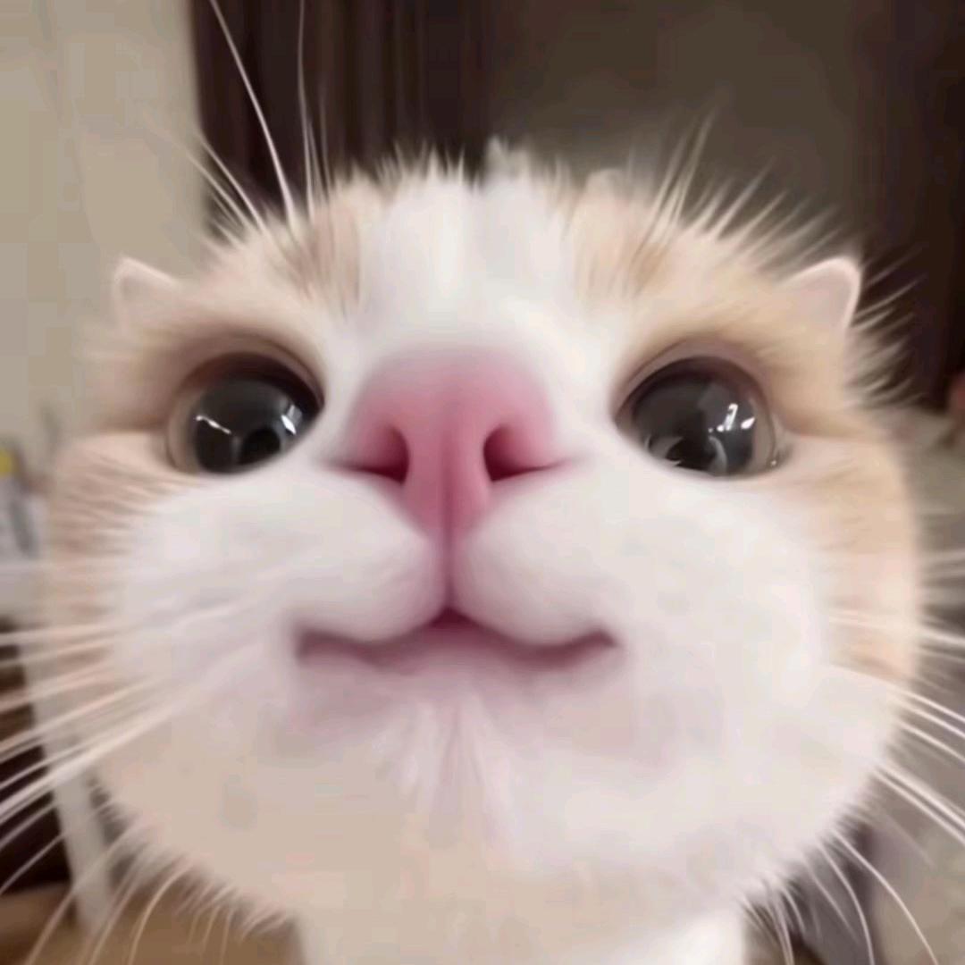 亦亦以一