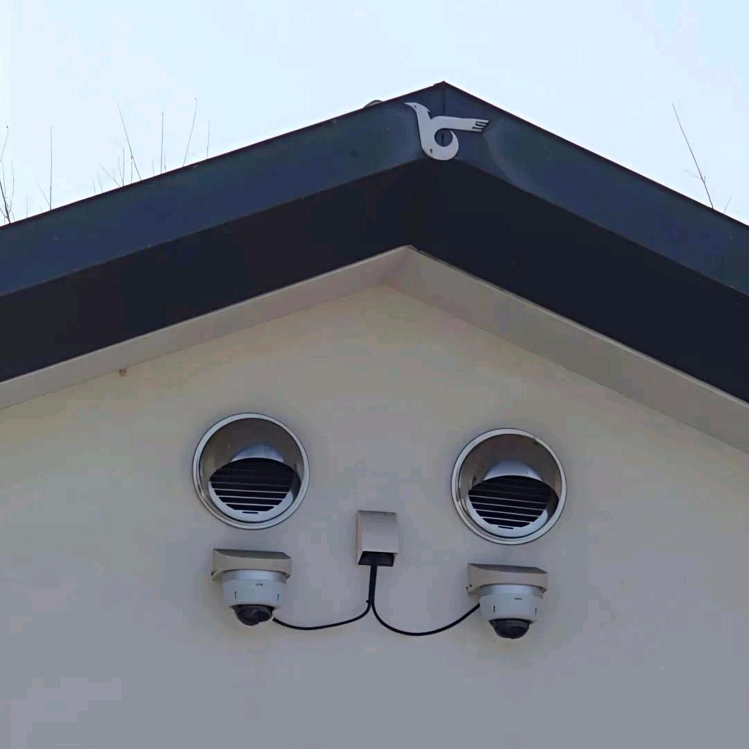 一条小咸鱼