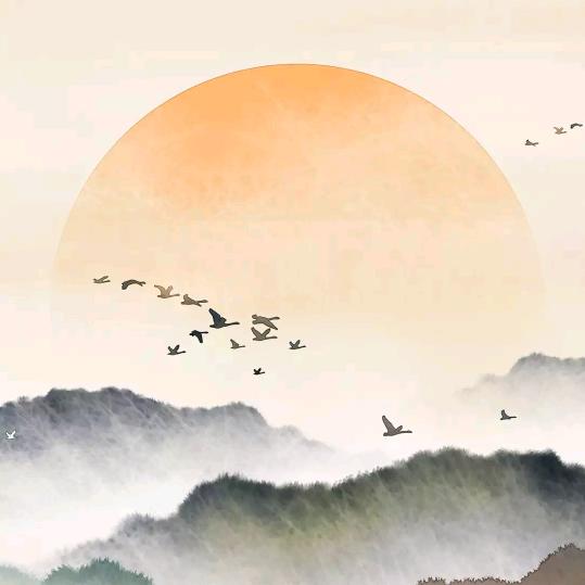 永不分离