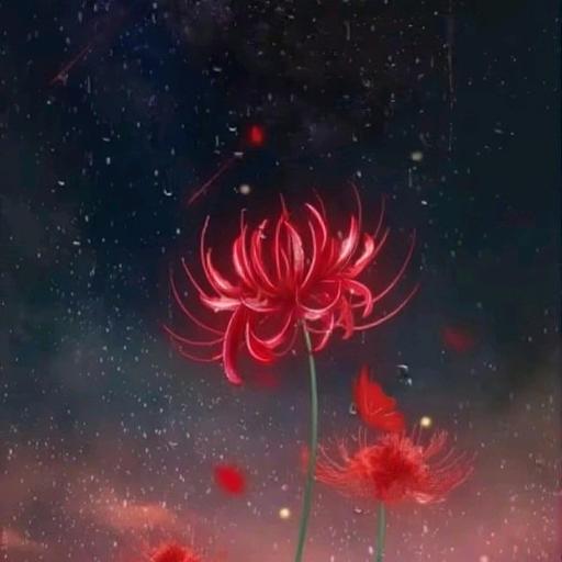 花开彼岸